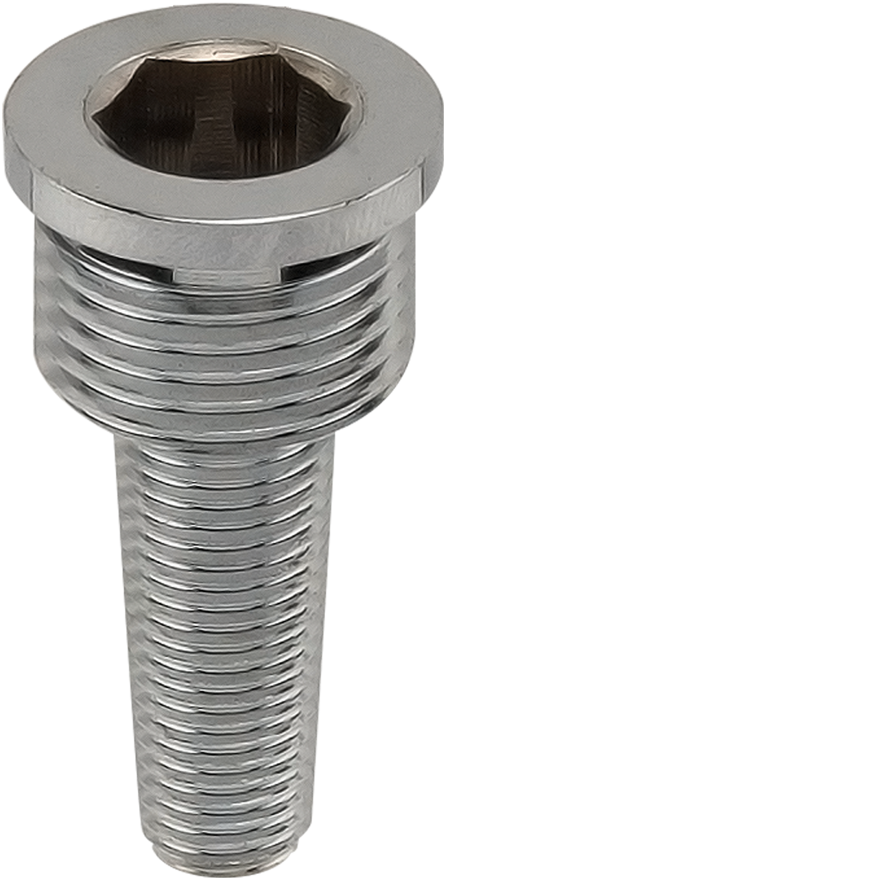 Innenschraube zu 3/4" Mutter ID10 mm passend zu Molkereidampfschlauch Ø20