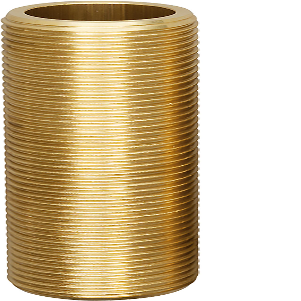 Gewindestutzen 2" L 80 mm